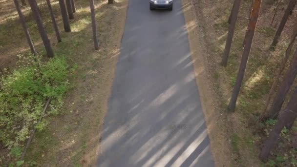 Vue Angle Élevé Voiture Croisée Blanche Déplaçant Long Route Forestière — Video