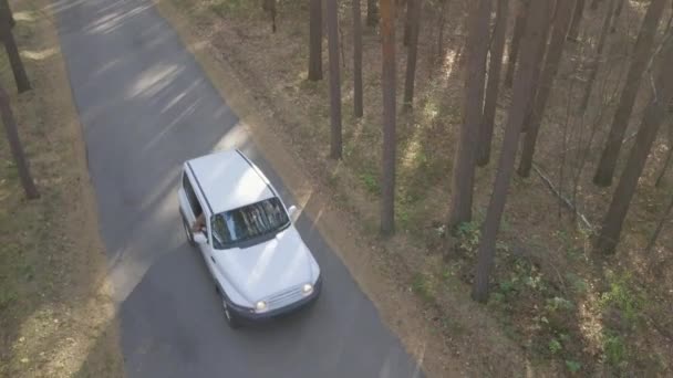 Vue Angle Élevé Voiture Croisée Blanche Déplaçant Long Route Forestière — Video