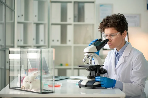 Técnico Laboratorio Pelo Rizado Concentrado Gafas Seguridad Guantes Protección Que — Foto de Stock