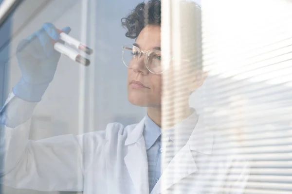 忙碌的女性实验室科学家站在窗前 用试管采集血液样本 — 图库照片