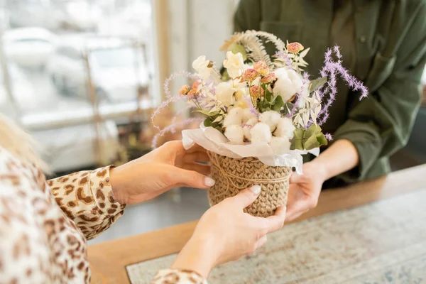 Hands Young Woman Taking Small Basket Floral Bouquet While Visiting — Stock Photo, Image