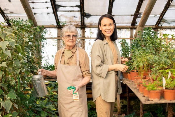 Portrait Smiling Senior Young Multi Ethnic Women Standing Plants Greenhouse — Stock Photo, Image