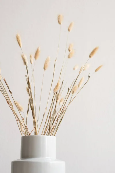 Bando Flores Silvestres Secas Picos Dentro Vaso Cerâmica Branca Contra — Fotografia de Stock