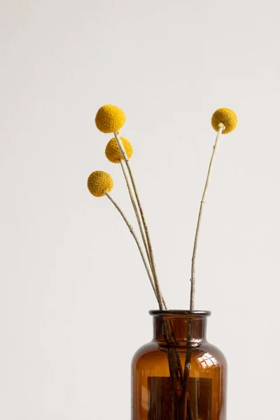 Bunch Yellow Dried Wildflowers Long Stems Standing Dark Bottle Vase — Stock Photo, Image