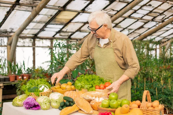 Cultivador Senior Pelo Blanco Delantal Que Coloca Verduras Mostrador Mientras —  Fotos de Stock