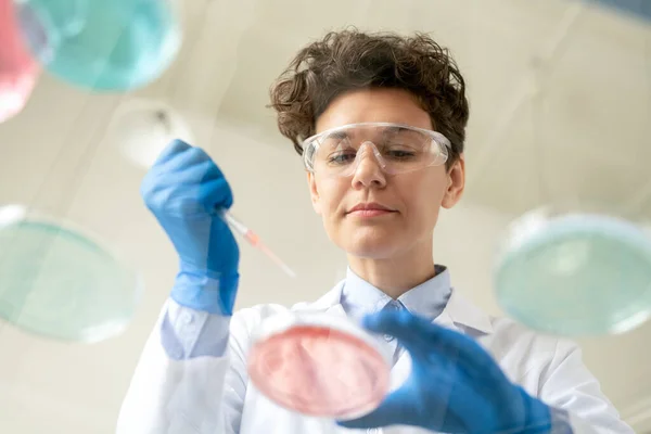 Debajo Vista Microbióloga Femenina Concentrada Gafas Protectoras Guantes Dejando Caer — Foto de Stock