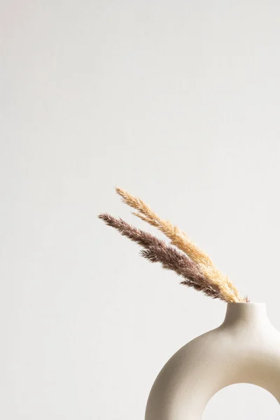 Teil Einer Handgefertigten Ringförmigen Keramikvase Weißer Farbe Mit Trockenen Pflanzen — Stockfoto