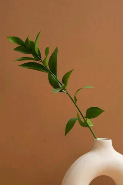 白色陶瓷环状花瓶 家用植物绿色 衬托在棕色背景或居室壁面上 — 图库照片