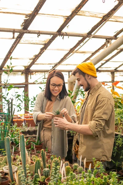 Smiling Young Asian Female Grower Glasses Checking Small Plant Pot — Stock Photo, Image