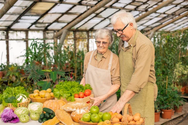 Senior Couple Aprons Glasses Putting Box Vegetables Table While Harvesting — Stock Photo, Image