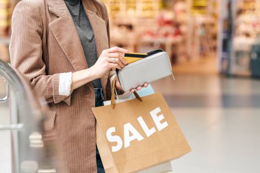 Çağdaş ticaret merkezinin içinde dururken kredi kartını cüzdanına koyan kağıt torbalı genç bir bayanın elleri.