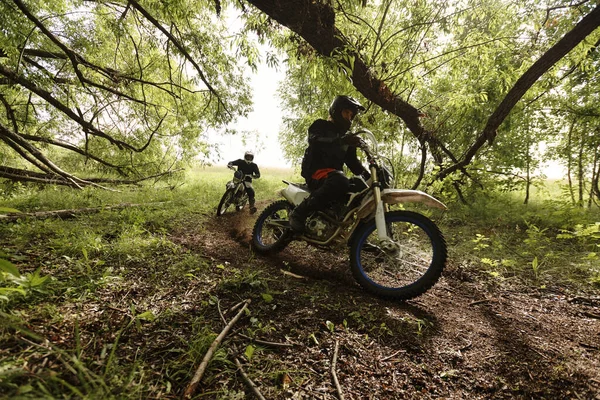 Motociclistas Profesionales Cascos Cruzando Pista Forestal Bajo Ramas Árboles Bajos —  Fotos de Stock