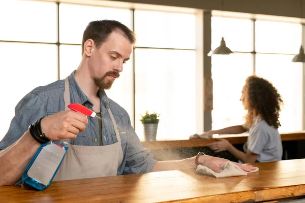 Hombre Barbudo Joven Serio Delantal Rociando Detergente Mostrador Barra Mientras — Foto de Stock