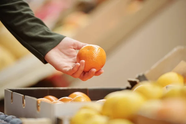 有機食品市場でみかんを選択する認識できない人のクローズアップ ショッピングコンセプト — ストック写真