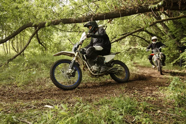 Extrema Män Hjälmar Ridning Motorcyklar Grov Väg Övervinna Skogshinder — Stockfoto