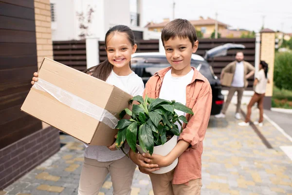 Portrait Positive Cute Kids Holding Potted Plant Cardboard Box Front — Stock Photo, Image