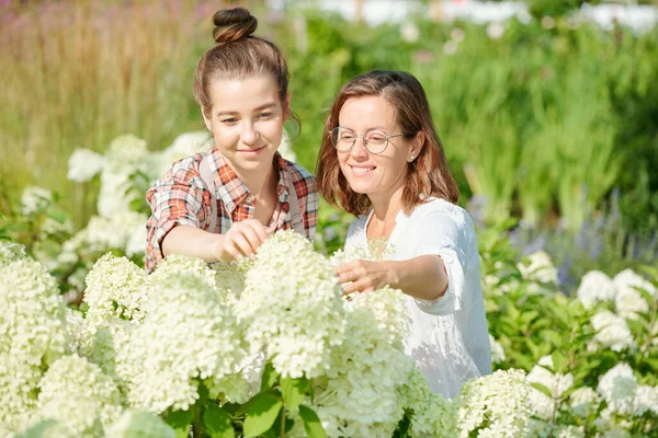 Two Young Female Gardeners Workers Hothouse Looking Blossom New Sort — Stock Photo, Image