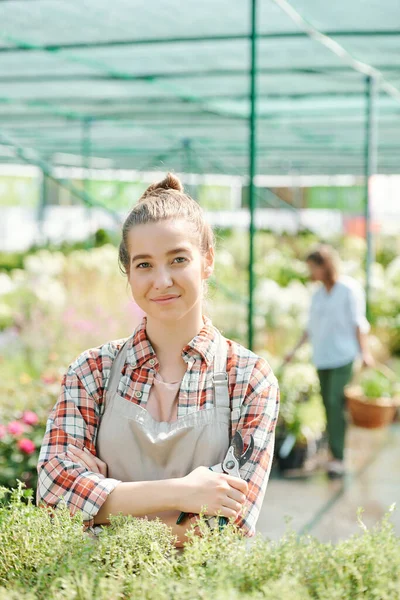 İş kıyafetlerinde başarılı bir bahçıvan. Elinde pense, kollarını göğsünde çapraz bağlayarak yeşil bitkilerle büyük bir çiçek tarlasında duruyor.