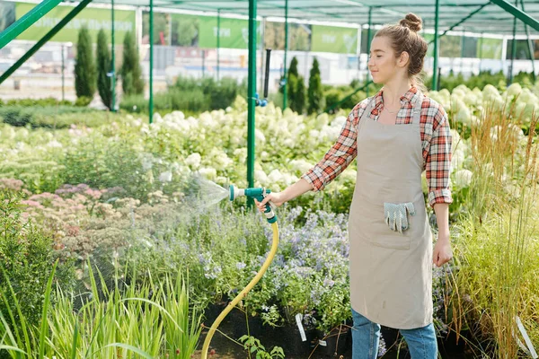 年轻漂亮的女园丁穿着工作服 浇灌着生长在大温室里的绿色植物 站在各种各样的树苗面前 — 图库照片