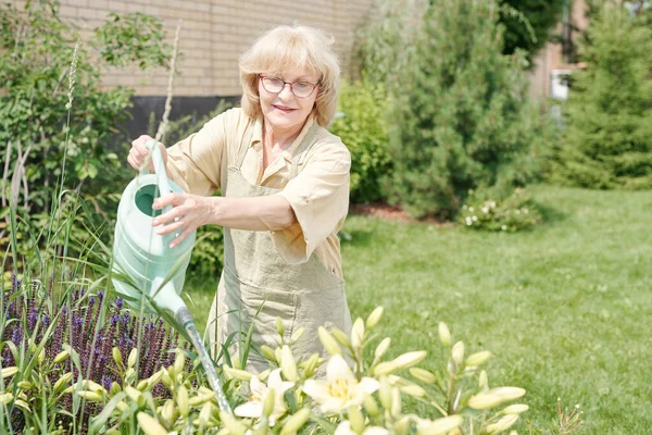 Bahçesinde çiçekleri sulayan neşeli yaşlı bir kadının orta boy portresi.