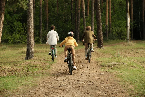 Visão Traseira Família Ativa Pais Jovens Filho Sentado Bicicletas Enquanto — Fotografia de Stock