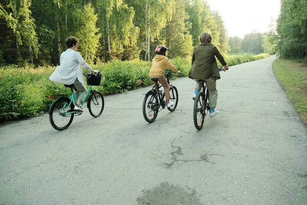 Família Jovem Ativa Pai Mãe Filho Casualwear Andar Bicicleta Longo — Fotografia de Stock