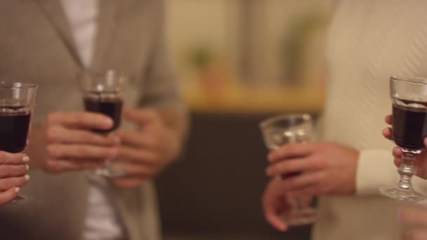 Группа Неузнаваемых Людей Звонящих Бокалами Красным Вином Время Празднования Вместе — стоковое видео