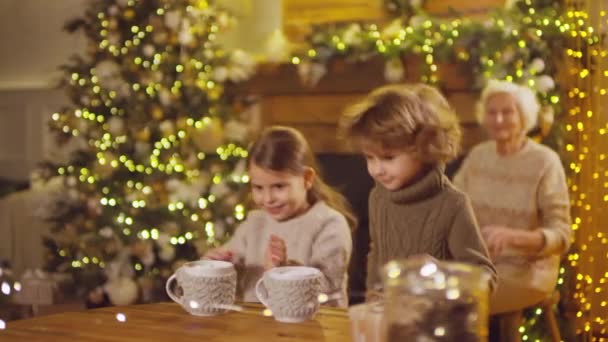 小孩子们坐在祖母的炉边小跑 然后穿着针织毛衣 用可爱的杯子里的棉花糖喝着甜巧克力牛奶 — 图库视频影像