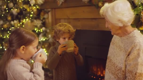 圣诞前夕 穿着舒适毛衣的孩子们在温暖的壁炉边与奶奶聊天 喝热巧克力牛奶 — 图库视频影像