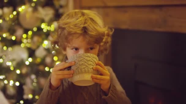 若い巻き毛の男の子の中間閉鎖ニットセーターに暖炉のそばにいる祖母と妹飲むホットミルクから居心地の良いマグカップ — ストック動画