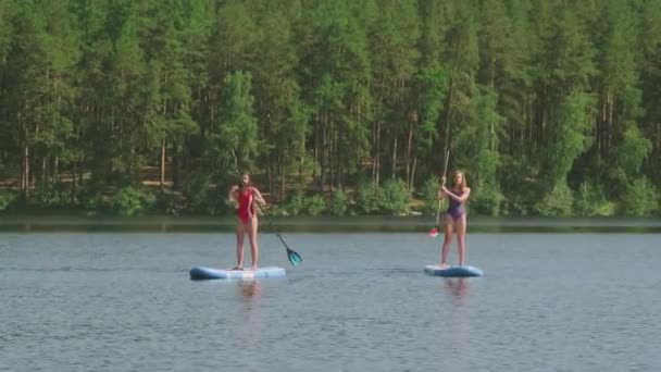 Μακρύ Πλάνο Των Νέων Λεπτή Γυναίκες Κουπιά Όλη Λίμνη Πράσινο — Αρχείο Βίντεο