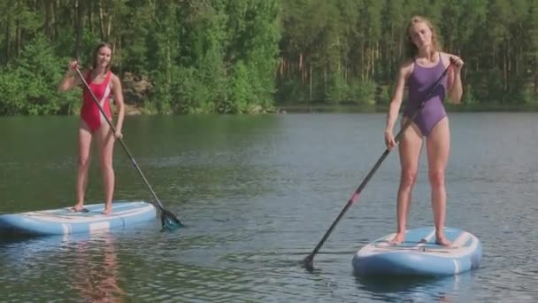 Full Shot Sportiga Flickor Står Ombord Paddling Över Glänsande Sjö — Stockvideo