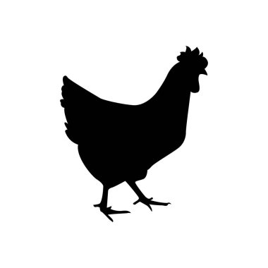 siluet siyah beyaz renk ile tavuk