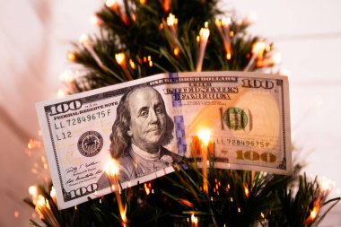 100 dolar nakit ile süslenen yeni yıl köknar ağacı