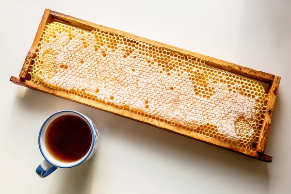 Taza de té, panales amarillos vacíos y llenos de miel — Foto de Stock