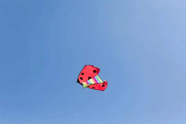 Різнокольоровий повітряний змій, що летить на блакитне небо — стокове фото