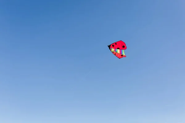 Ein bunter Drachen fliegt gegen einen blauen Himmel — Stockfoto