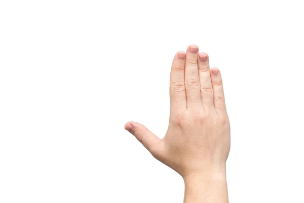 短い爪を持つ男性の手 — ストック写真