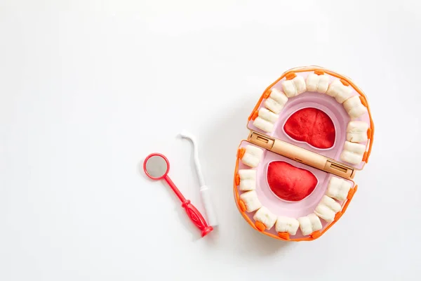 Modelo ortodôntico e ferramenta de dentista - dentes de demonstração com braquete ou cinta — Fotografia de Stock