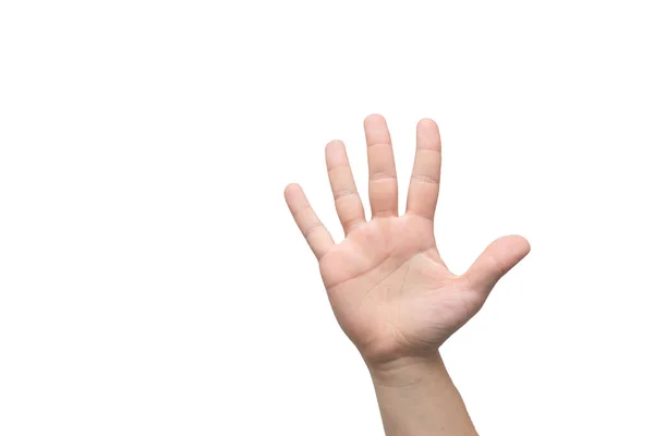 Erkek el beyaz arkaplanda beş parmak gösteriyor, metin için yer — Stok fotoğraf