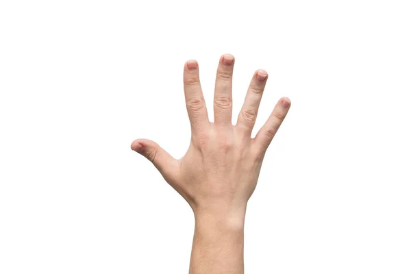 남성 손 흰색 배경에 분리 된 다섯 손가락보여 주고 텍스트를 위한 장소 — 스톡 사진