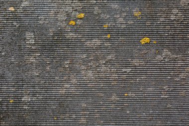 Üzerinde biraz sarı yosun olan eski bir tahta parçası yakından çekiliyor. Çatı inşaatı için malzeme. Gri soyut arkaplan.