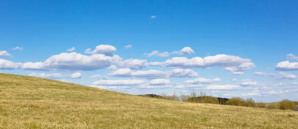 Vergilbtes Gras Aufgrund Des Trockenen Wetters Vor Blauem Himmel Bei — Stockfoto