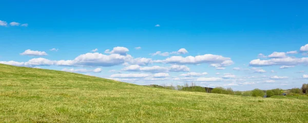 Grüne Wiese Und Sonne Vor Blauem Himmel Mit Wolken Das — Stockfoto