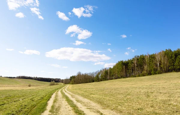 Ein Ländlicher Feldweg Erstreckt Sich Kurven Waldrand Entlang Einem Feld — Stockfoto