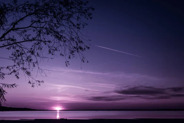 Utsikt Til Fiolett Solnedgang Gjennom Viljens Grener Solnedgang Sjøen Gradient – stockfoto