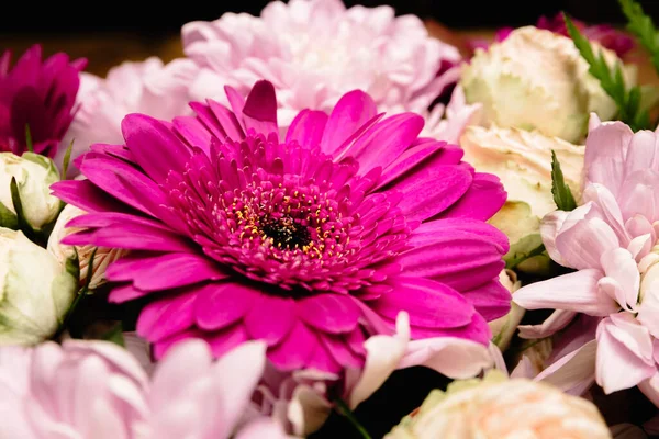 Large beautiful bouquet of chrysanthemums, gerberas, roses and ferns in pink and purple colors, packed in brown craft paper and isolated on a black background. Postcard for the holiday. Close-up.