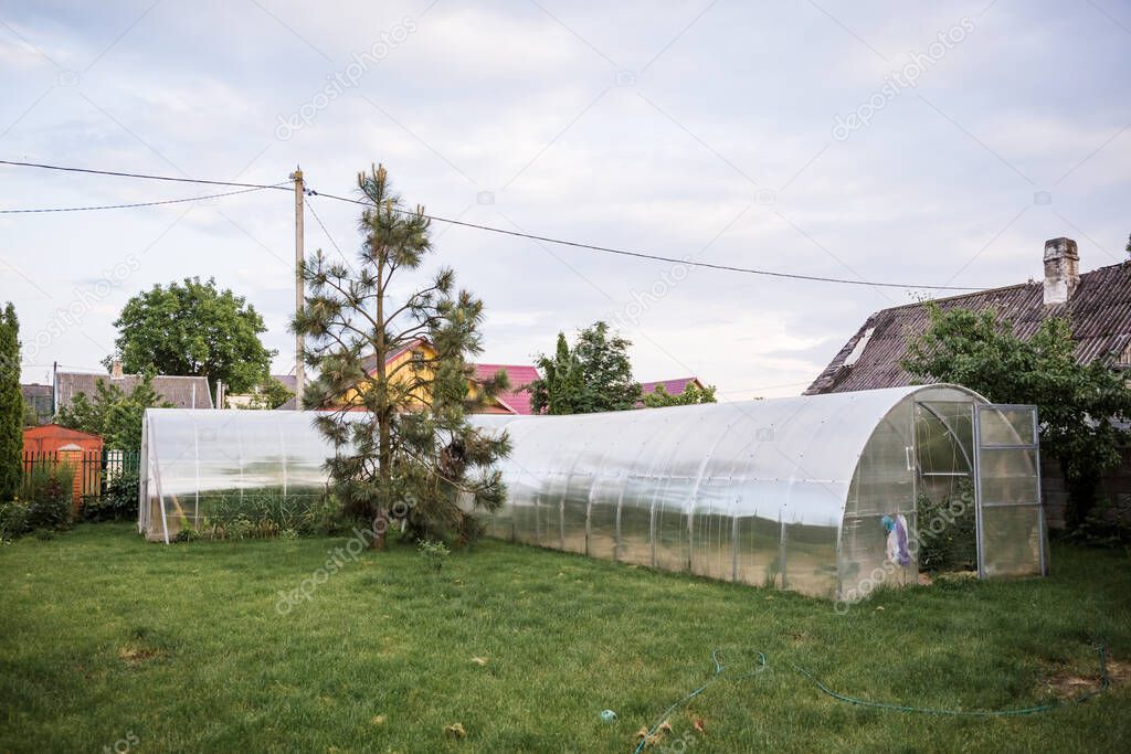 Polycarbonate greenhouse on a country site cottage area. Landscaping with a smart arrangement of objects on the territory of the house. Well-kept garden with flowers, a lawn, trees and a house for planting.