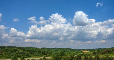 Yoğun bir orman üzerinde gökyüzü ve kar beyazı bulutlar.