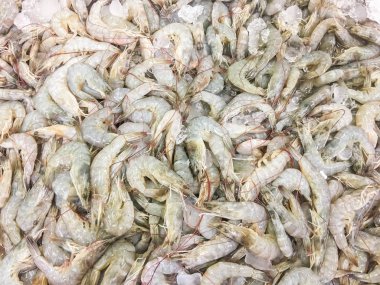 Karides veya karides raw taze Satıyoruz süpermarket